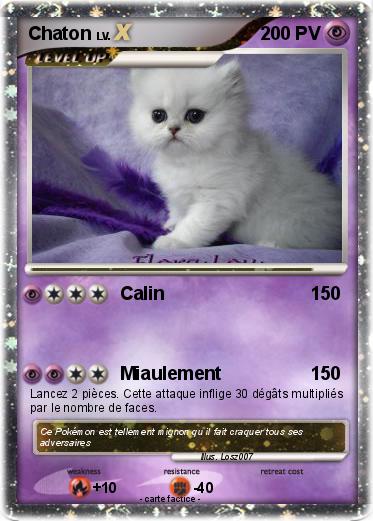 Pokemon Chaton