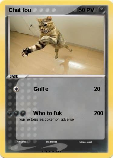 Pokemon Chat fou