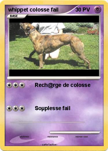 Pokemon whippet colosse fail