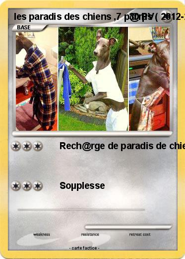 Pokemon les paradis des chiens ,7 p@rµs ( 2012-2016 )