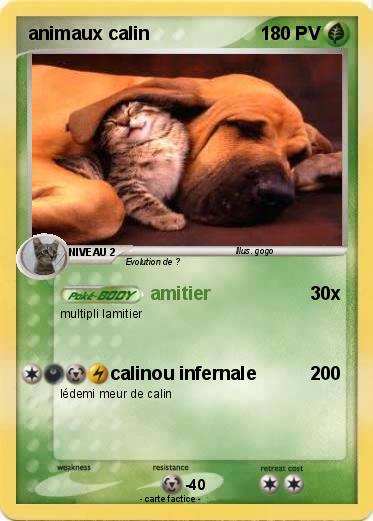 Pokemon animaux calin