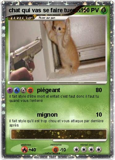 Pokemon chat qui vas se faire tuer