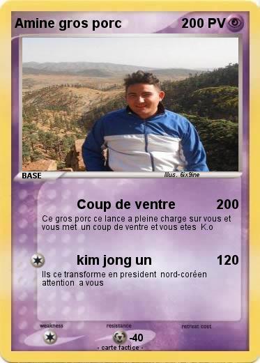 Pokemon Amine gros porc