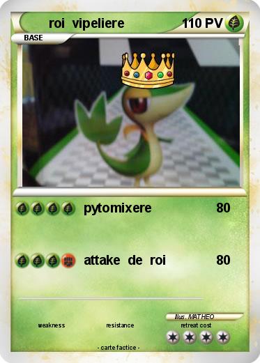 Pokemon roi  vipeliere