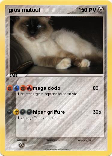 Pokemon gros matout