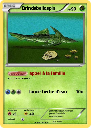 Pokemon Brindabellaspis