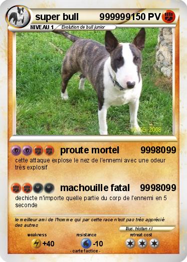 Pokemon super bull        999999
