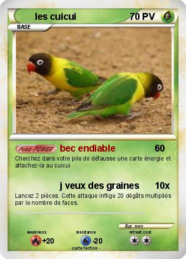 Pokemon les cuicui