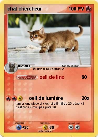 Pokemon chat chercheur