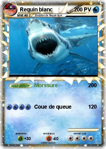 Pokemon Requin blanc