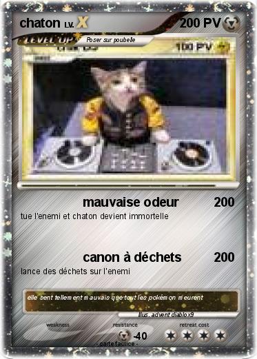 Pokemon chaton