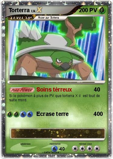 Pokemon Torterra
