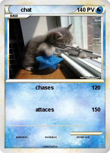 Pokemon chat
