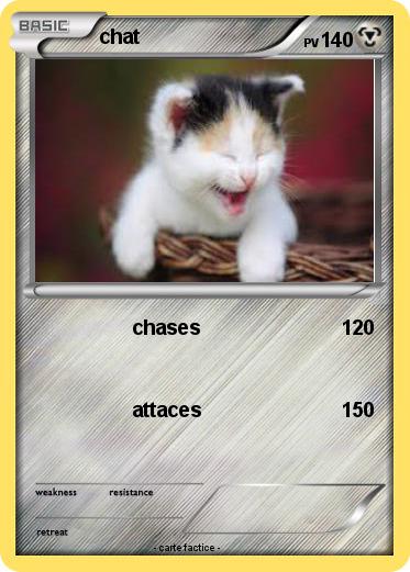 Pokemon chat