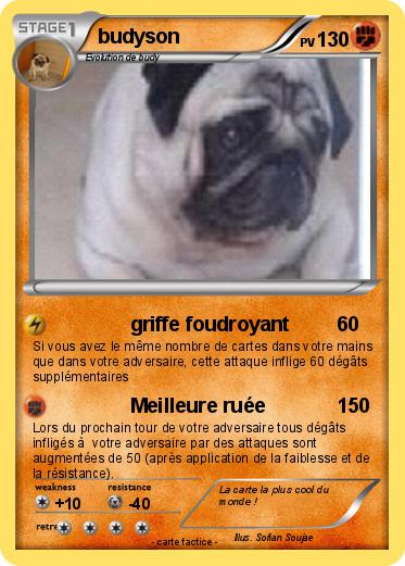Pokemon budyson