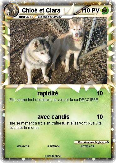 Pokemon Chloé et Clara