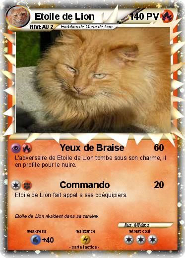 Pokemon Etoile de Lion