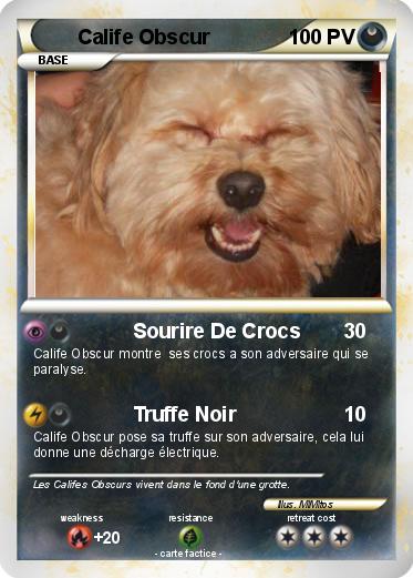 Pokemon Calife Obscur