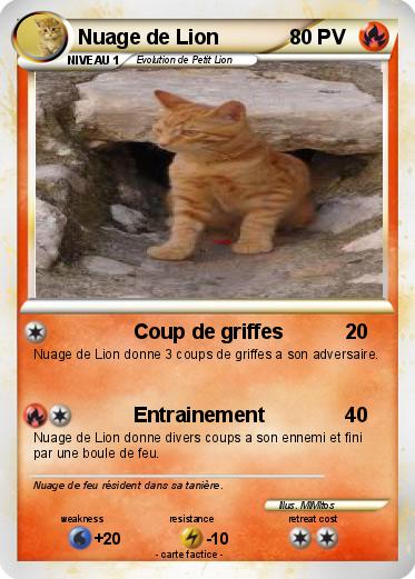 Pokemon Nuage de Lion