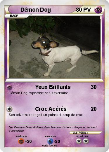 Pokemon Démon Dog