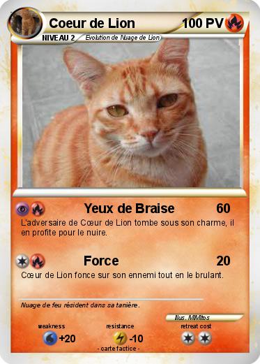 Pokemon Coeur de Lion
