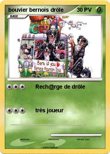 Pokemon bouvier bernois drôle