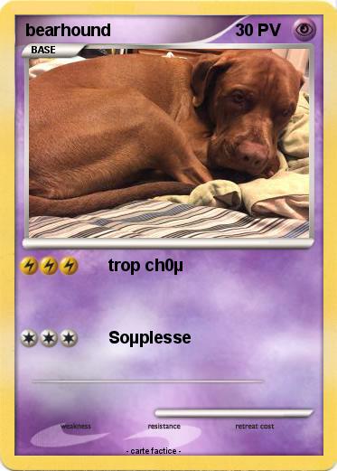 Pokemon bearhound