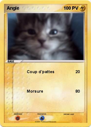 Pokemon Angie