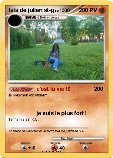 Pokemon tata de julien st-g