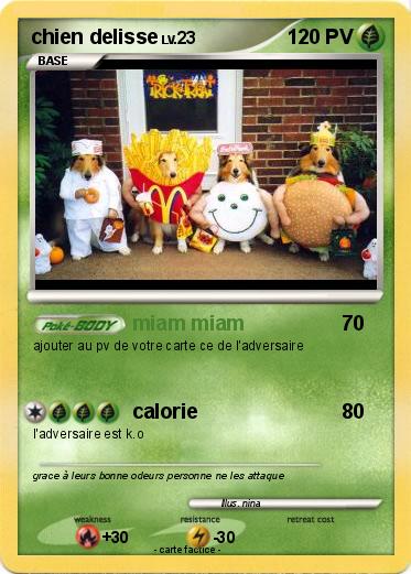 Pokemon chien delisse
