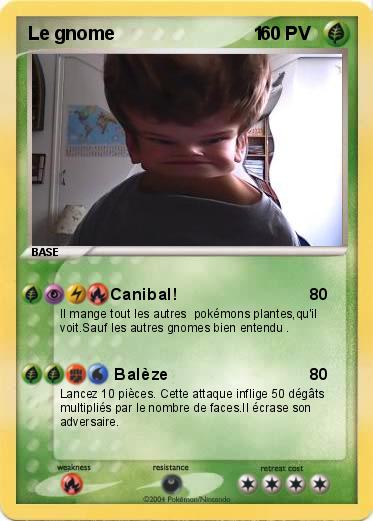Pokemon Le gnome                           1                                     