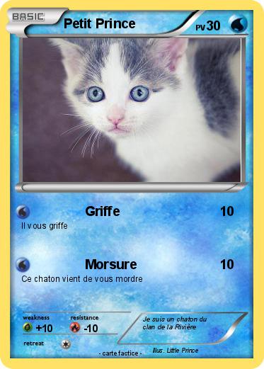 Pokemon Petit Prince