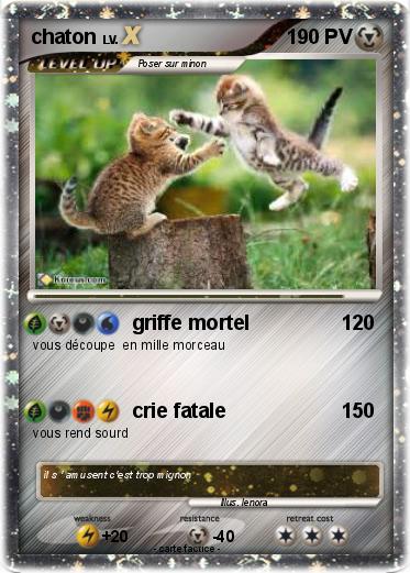 Pokemon chaton