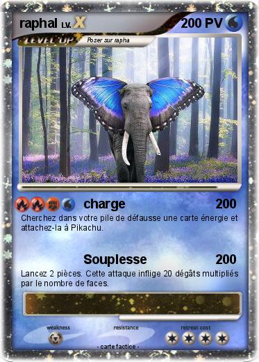 Pokemon raphal