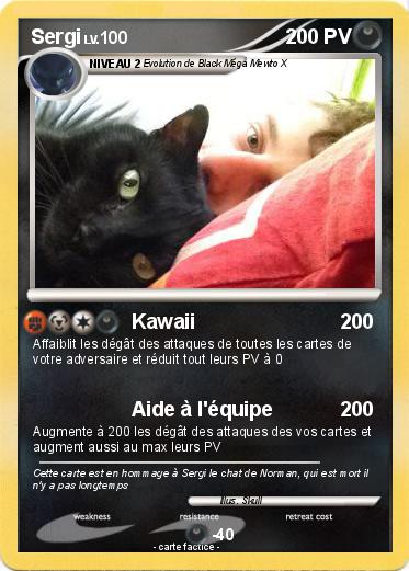 Pokemon Sergi