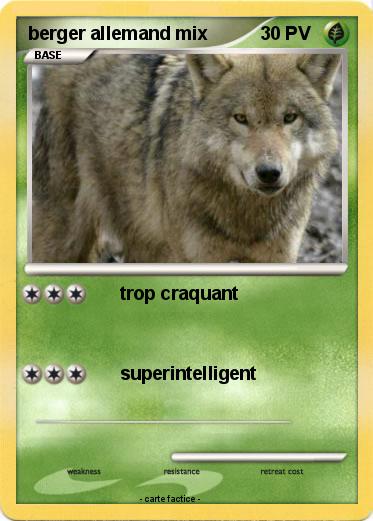 Pokemon berger allemand mix