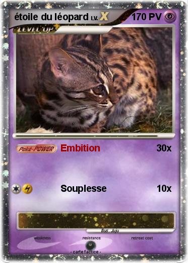 Pokemon étoile du léopard