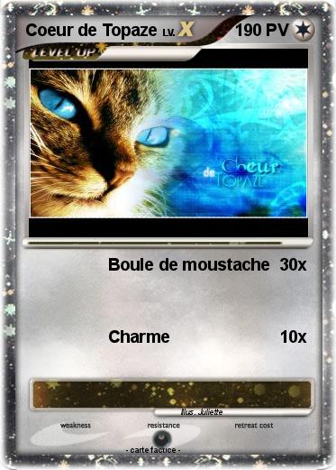 Pokemon Coeur de Topaze