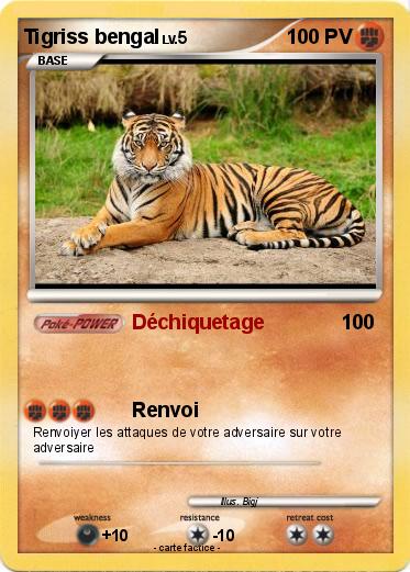 Pokemon Tigriss bengal