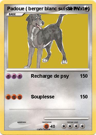 Pokemon Padoue ( berger blanc suisse mixte )