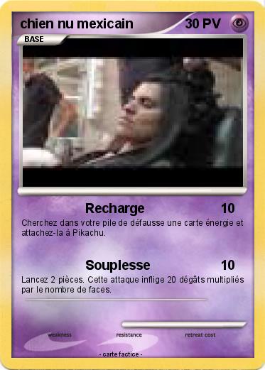 Pokemon chien nu mexicain