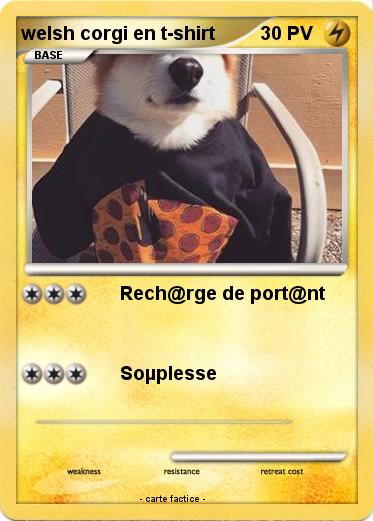 Pokemon welsh corgi en t-shirt
