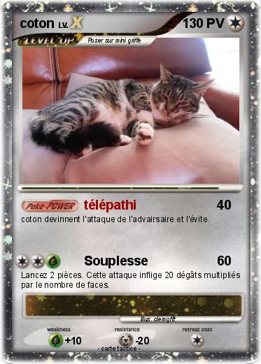 Pokemon coton