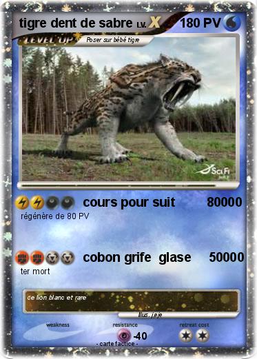 Pokemon tigre dent de sabre