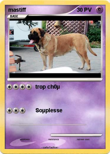 Pokemon mastiff