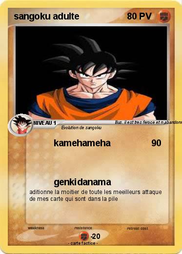 Pokemon sangoku adulte