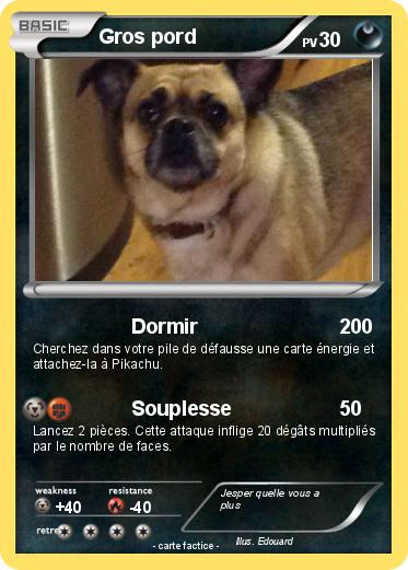 Pokemon Gros pord
