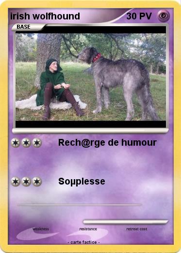Pokemon irish wolfhound