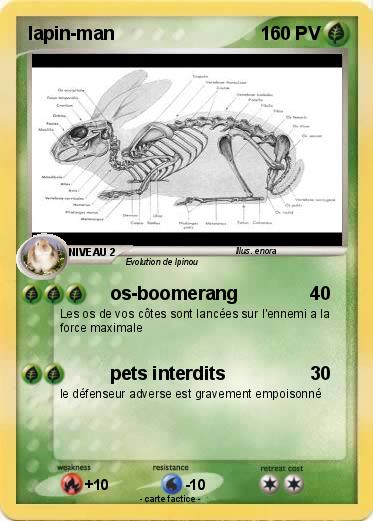 Pokemon lapin-man