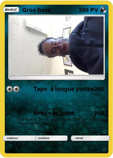 Pokemon Gros front